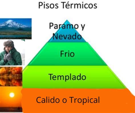 Los Pisos Clim Ticos De Ecuador