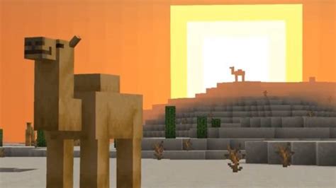 Minecraft Camel How To Find And Tame The Desert Mob