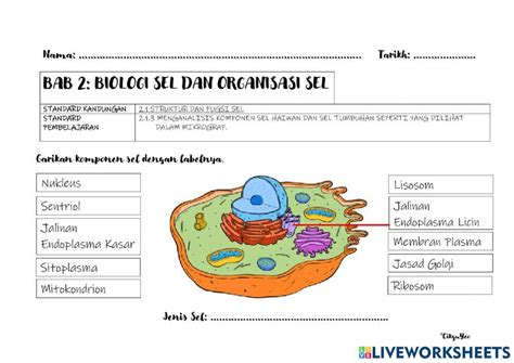 2 1 Struktur Dan Fungsi Sel 718787 Ian Yeo Live