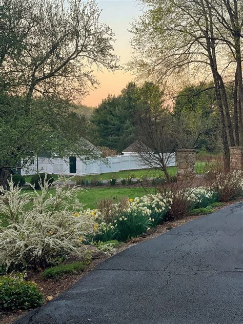 The Best Early Spring Flowers For A Gorgeous Garden Display Bricks N