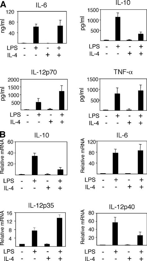 IL 4 Inhibits IL 10 While Enhancing IL 12 Expression In BM DCs A