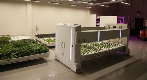 La Agricultura Del Futuro Los Robots Llegan A La Granja Blueberries Consulting