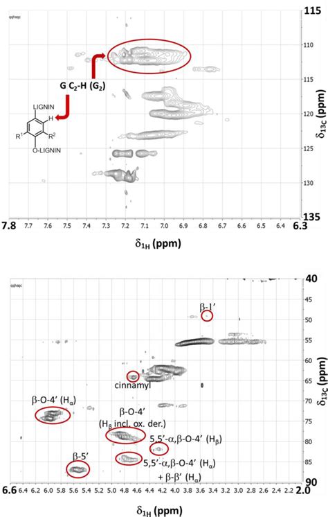 Quantitative Hsqc Analyses Of Lignin A Practical Comparison