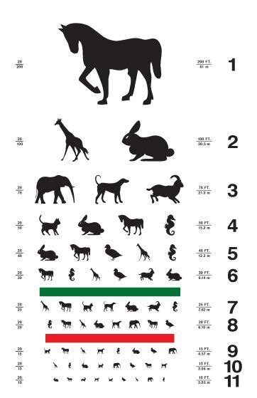 Eye Chart With Animal Silhouettes Eye Chart Charts For Kids Eye