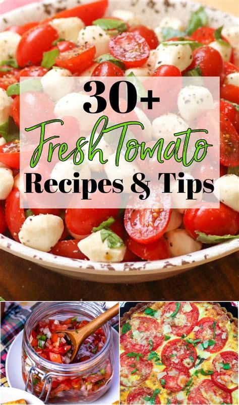 Fresh And Flavorful Tomato Recipes Youll Love All Year Round