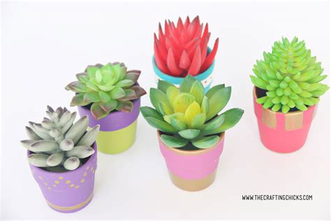 DIY Mini Painted Succulent Pots - The Crafting Chicks