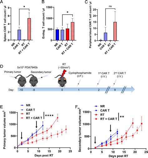 Proton Radiation Boosts The Efficacy Of Mesothelin Targeting Chimeric Antigen Receptor T Cell