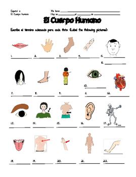 El Cuerpo Humano Body Parts In Spanish Bundle Packet By Mi Tiendita