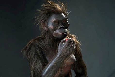 Realizan Un Modelo D De Lucy El Ancestro Humano M S Famoso