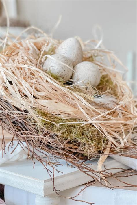 Bird Nest Ribbons