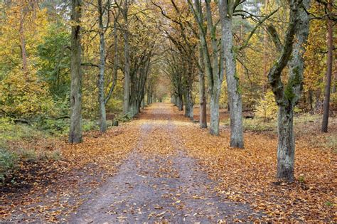 Vom Grunewald zum Wannsee Jüdische Allgemeine