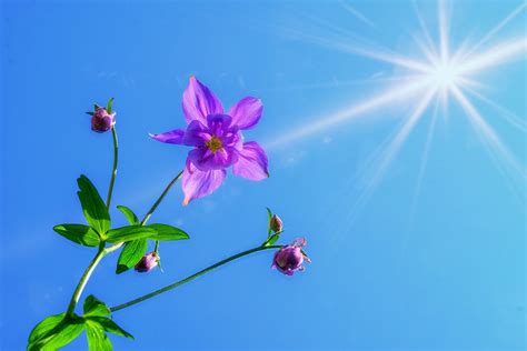 Cielo Terso E Sole Tiepido Anticipo Di Primavera Nel Salento A