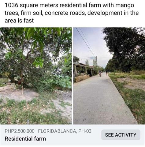 Residential Farm Lot For Sale Floridablanca Pampanga 52 Properties