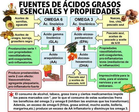 Alimentos Ricos En Cidos Grasos Esenciales Botanical Online