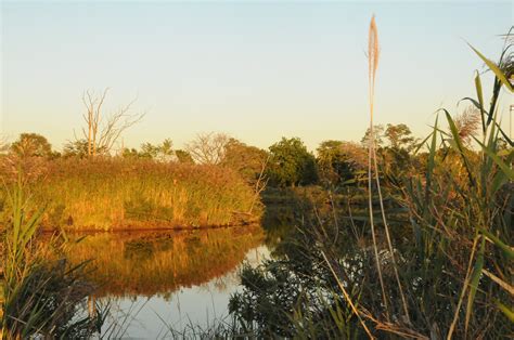 Natur Wasser Reflexion Kostenloses Foto Auf Pixabay Pixabay