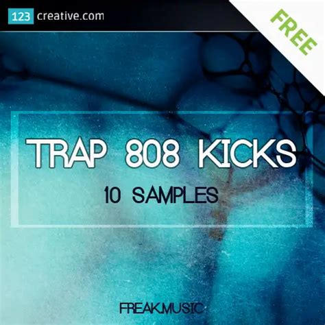 Free Trap 808 Kicks Free Drum Sample Pack, Loop & Sample Pack, Sample Pack | VST Warehouse