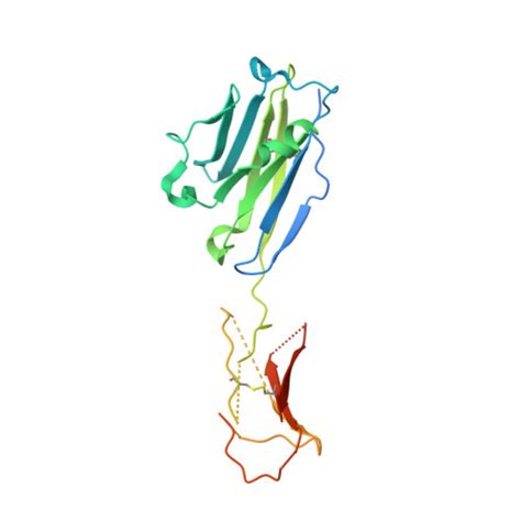 Gene Q9NZQ7 Protein CD274 Overview CanSAR Ai