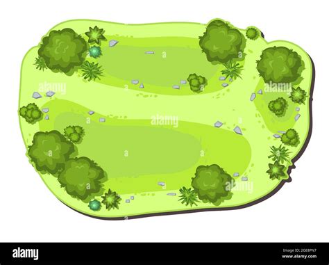 Small Forest With Height Park With Trees View From Above Plant