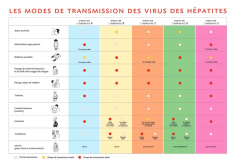 Transmission Symptômes Et Traitements De Lhépatite A