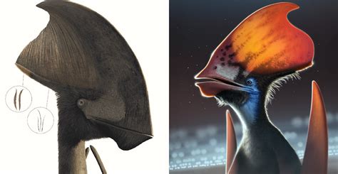 Pterosaurs May Have Had Coloured Feathers Similar To Birds Natural