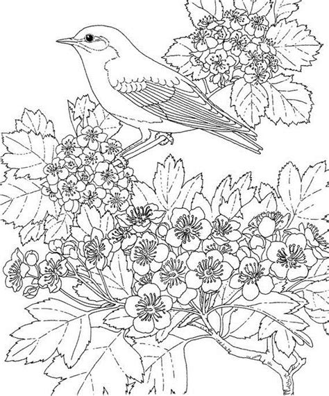 Coloriage Saison Printemps 165058 Nature Dessin à colorier