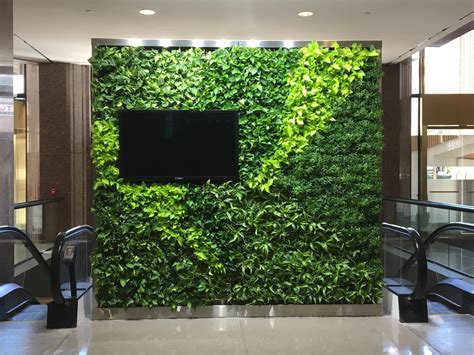 Everything You Need to Know About Vertical Green Walls