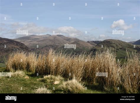 View Of Cadair Idris From Craig Yr Aderyn Bird Rock Llanfihangel Y