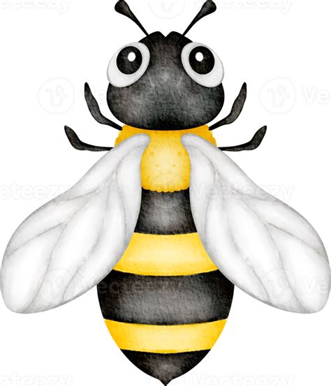 Watercolor Bee Clip Art 36909216 Png