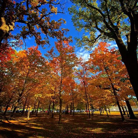 5 parks to see stunning fall foliage in Toronto (PHOTOS) | Lifestyle