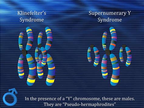 Ppt Biology And Sex Chromosomal Sex Chromosomal Anomalies Powerpoint