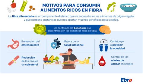 La Importancia De Consumir Alimentos Ricos En Fibra Sentirse Bien Se Nota