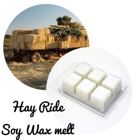 Hay Ride Soy Wax Melt Super Fragrant Multiple Scents Available Free Surprise Wax Melt Sample