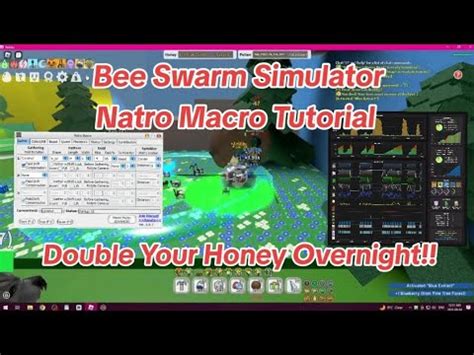 Natro Macro Setup Tutorial For Bee Swarm Simulator New 2023 YouTube