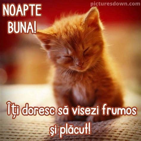 Imagine De Noapte Buna Iubire Cai