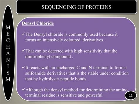 Sequencing of protein | PPT