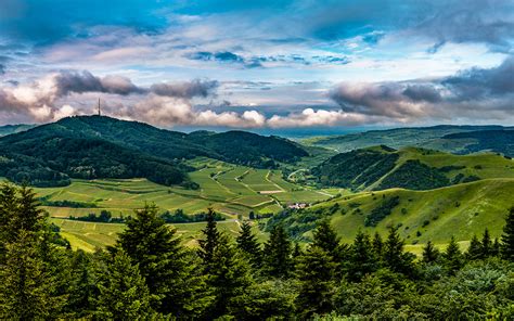 壁紙1920x1200ドイツ風景写真山畑森林Kaiserstuhl Hills雲トウヒ属丘自然ダウンロード写真