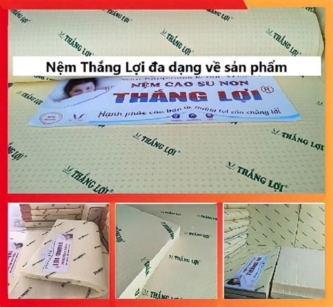 6 lý do nên mua nệm tại Công ty nệm Thắng Lợi | Mẹo Giảm Cân