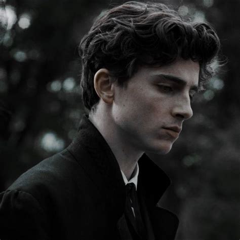 Timothee Chalamet Regulus Black Timothee Chalamet The Marauders