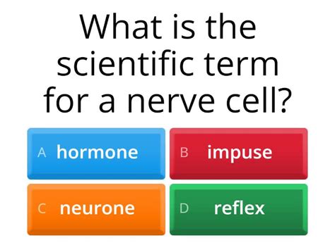 Nervous System Multiple Choice Questions Quiz