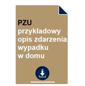 Pzu Przyk Adowy Opis Zdarzenia Wypadku W Domu Pobierz