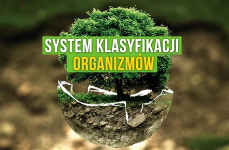 System klasyfikacji organizmów Powtórka z biologii