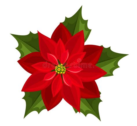 Red Poinsettia Vector Illustration Royalty Free Stock Image Image