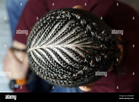 The Back Of A Man Braided Into Thin Braids A Creative Hairstyle Stock