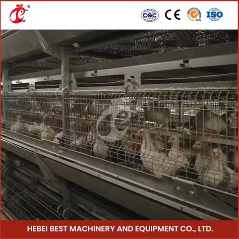 Bestchickencage H Frame Broiler Cages China Chicken Battery Cage