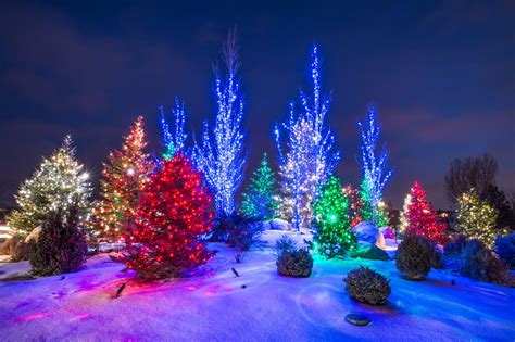 Home - Evergreen Sprinkler Supply