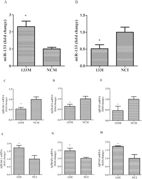 The Expression Profiles Of Mir 133 Ajirak 1 And The Downstream