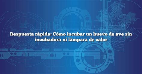 Respuesta R Pida C Mo Incubar Un Huevo De Ave Sin Incubadora Ni