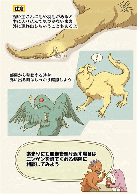 ニンゲンの飼い方】 図鑑『脱走について』 ニンゲンの飼い方が書籍化しました Amazonでご購入される方はこちらh」ぴえ太【ニンゲンの飼い方