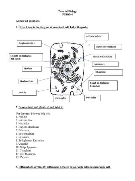 Tutorial Biology FGS0044 Answer All Questions Diagram Of An