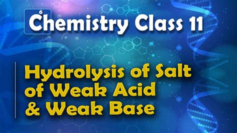 Hydrolysis Of Salt Of Weak Acid And Weak Base Chemical Equilibrium